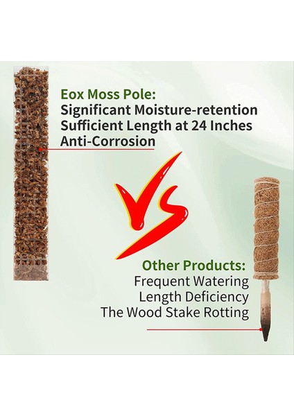 Moss Pole Plastik Fabrikası Stand Kapalı Tırmanma Bitkileri Öğretmenler Bitkiler Için Yosun Sopası Büyüme Destek Aksesuarları (Yurt Dışından) fırsatları