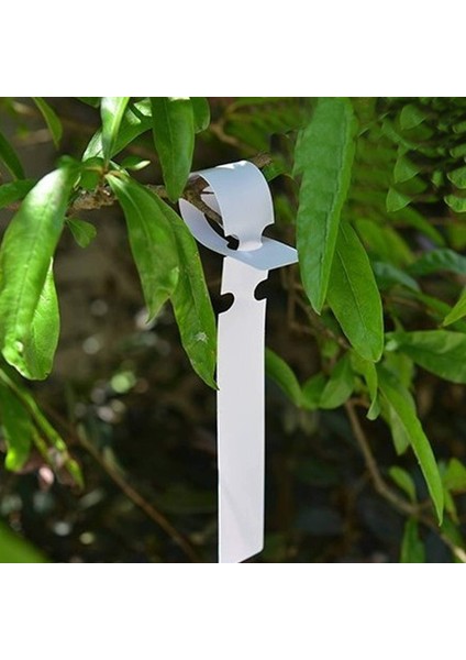 1000PCS 8 Inç Bitki Etiketleri, Açık Su Geçirmez Asılı Bahçecilik Etiketleri, 2X21CM Beyaz Plastik Bitki Ağacı Etiketleri Kreş Bahçe Bitki Lable (Yurt Dışından) modelleri