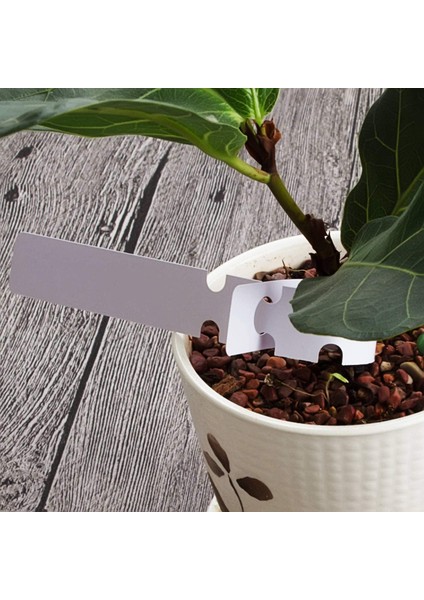 1000PCS 8 Inç Bitki Etiketleri, Açık Su Geçirmez Asılı Bahçecilik Etiketleri, 2X21CM Beyaz Plastik Bitki Ağacı Etiketleri Kreş Bahçe Bitki Lable (Yurt Dışından) fırsatları