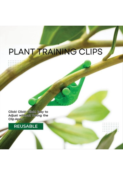 20 Pack Bitki Klipler -Bul Teslim Edilebilir Düşük Stresli Eğitim Tesisi Destek Klipleri Bitki Eğitimi Kök Desteği Çadır Turuncu Büyür (Yurt Dışından) modelleri