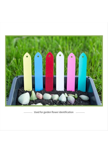 Mavi Bitki Etiketleri, Kreş Plastik Bitki Etiketleri 6 Renk, Kreş Su Geçirmez Bitki Etiketleri, Tohum Etiketleri Bitki Etiketleri (Yurt Dışından) fiyatları