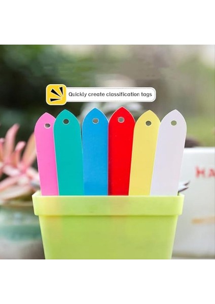 Mavi Bitki Etiketleri, Kreş Plastik Bitki Etiketleri 6 Renk, Kreş Su Geçirmez Bitki Etiketleri, Tohum Etiketleri Bitki Etiketleri (Yurt Dışından) fırsatları