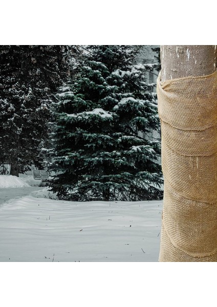 6rolls Doğal Çuval Örtüsü Ağacı Sarısı, Çuval Örnek Kumaş Ağacı Bagaj Koruyucu Bahçe Kış Için Bitki Sıcak Tutun 20X450CM (Yurt Dışından) fiyatları