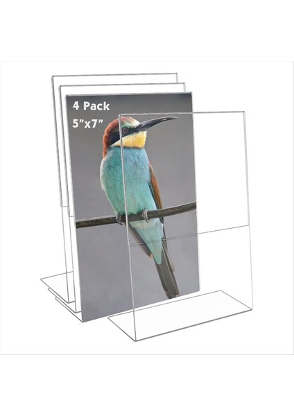 Akrilik Işaret Tutucu 5X7IN, 4 Paket Açık Plastik Işaret Tutucu Gizli Slanted, Broşür Belge Kağıt Ekran Standı (Yurt Dışından) fırsatları