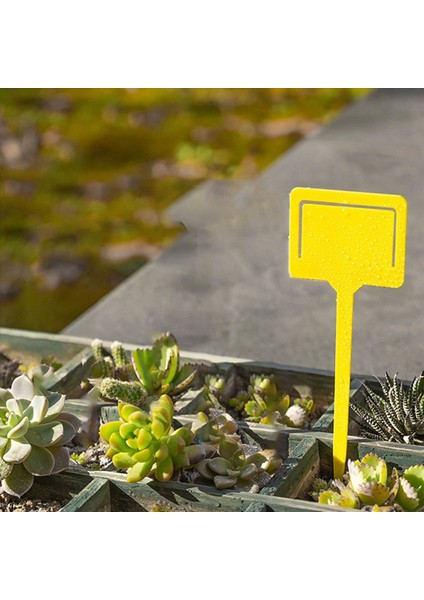 Sarı 100PCS Plastik Bahçe Etiketleri Etli Etiketler Saksı Bitki Etiketleri (Yurt Dışından) indirimleri