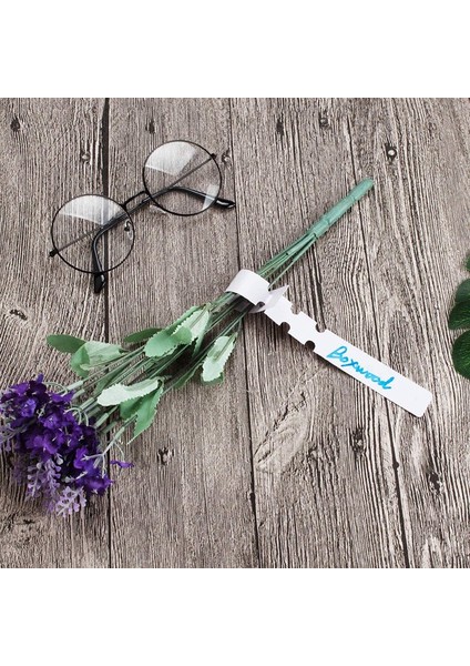 1000PCS 8 Inç Bitki Etiketleri, Açık Su Geçirmez Asılı Bahçecilik Etiketleri, 2X21CM Beyaz Plastik Bitki Ağacı Etiketleri Kreş Bahçe Bitki Lable (Yurt Dışından) indirimleri