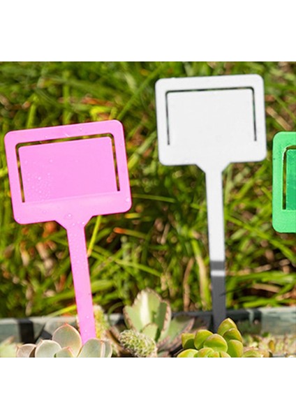 Plastik Bahçe Etiketleri, Etli Etiketler, Ekle Bahçe Etiketleri, Tabela Plakaları Pembe (Yurt Dışından) fiyatları