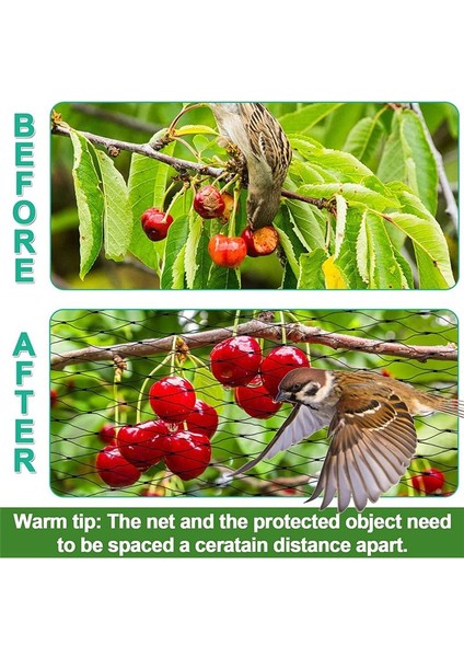 Bahçe Koruması Için Kuş Ağı, 4X10M Bahçe Ağ, Tavuk Kümesi Için Kümes Hayvanları Ağ, Geyik Çit Ağ (Yurt Dışından) fiyatları