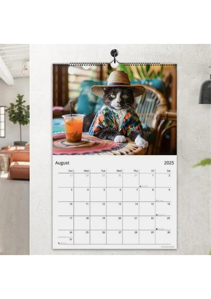 Kedi Takvimi Komik Kediler Asabilir Aylık Takvim 2025 Kedi Duvar Takvimi 12 Ay Catlover Için Aile Planlayıcı Takvimi (Yurt Dışından) fırsatları