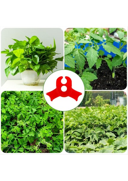 Kırmızı Bitki Klip Bükücü (Yurt Dışından)