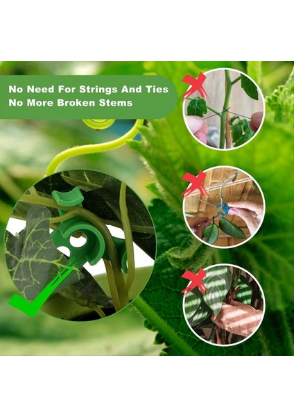 Kırmızı Bitki Klip Bükücü (Yurt Dışından) fırsatları