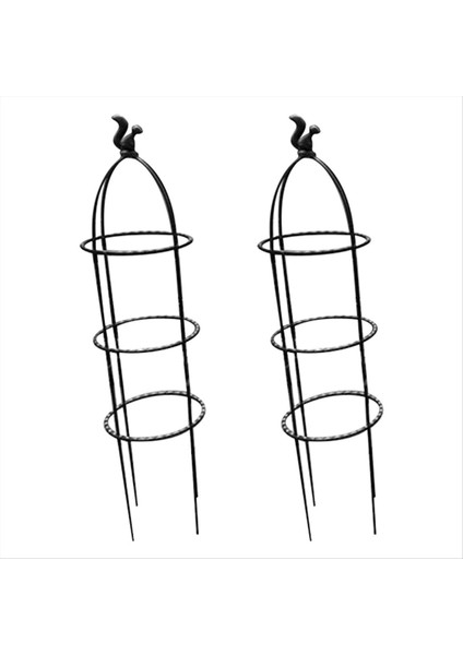 Tırmanma Bitkisi Dikilitaş Kafes, Bahçe Kafes, Tırmanma Asma Bitkisi Standı, Çiçek Standı, Bitki Kulesi, 2pcs (C) (Yurt Dışından)