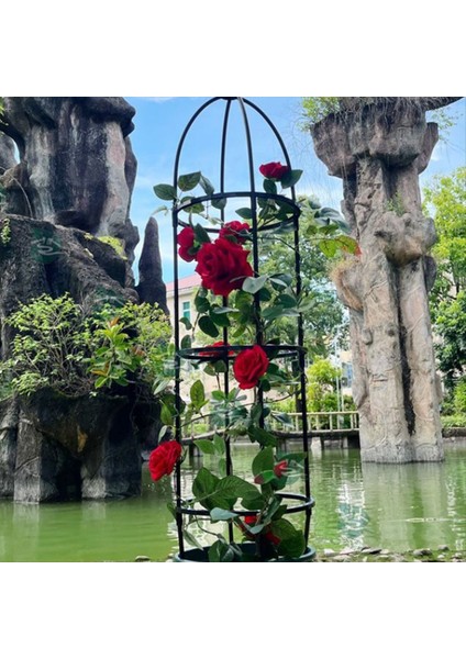 Tırmanma Bitkisi Dikilitaş Kafes, Bahçe Kafes, Tırmanma Asma Bitkisi Standı, Çiçek Standı, Bitki Kulesi, 2pcs (C) (Yurt Dışından) modelleri