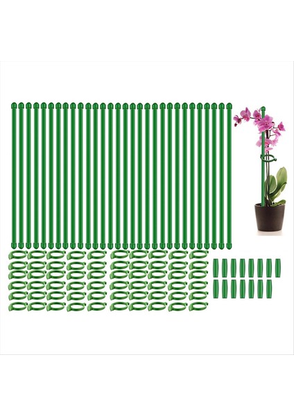30 Pcs Ayarlanabilir Bitki Destek Peşeri Bahçe Tek Kök Destek Payları Bitki Klipsleri ve Boru 11.8inç Bağlayın (Yurt Dışından)