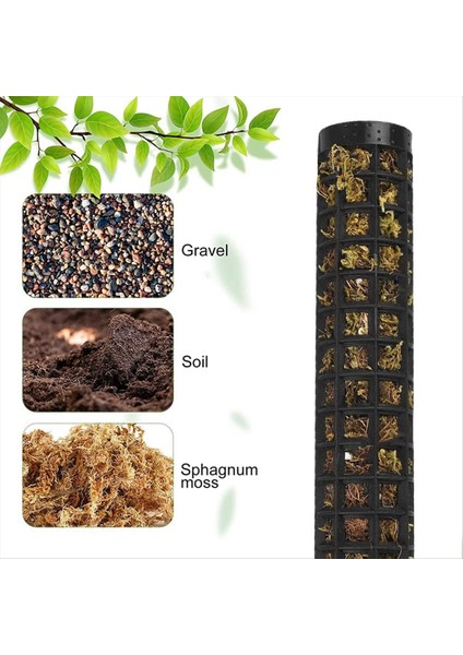 Monstera Kafes, Yosun Çubuğu, 6 Adet Bitki Kazığı, Kapalı Bitkiler Hindistancevizi, Bitki Hissesi, Yosun Direği, Tırmanma Yardımı (Yurt Dışından) fırsatları