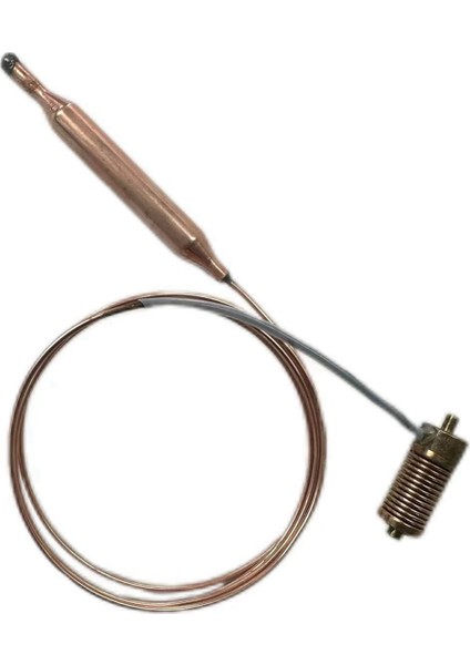 Elektrikli Fırın Sıcaklığı Algılama Probu Güç Bileşenine Duyarlı Prob Yakıt Valfı Güç Bileşeni (Yurt Dışından)