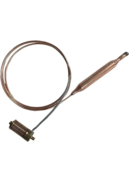 Elektrikli Fırın Sıcaklığı Algılama Probu Güç Bileşenine Duyarlı Prob Yakıt Valfı Güç Bileşeni (Yurt Dışından) fırsatları