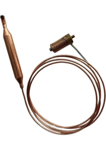 Elektrikli Fırın Sıcaklığı Algılama Probu Güç Bileşenine Duyarlı Prob Yakıt Valfı Güç Bileşeni (Yurt Dışından) indirimleri