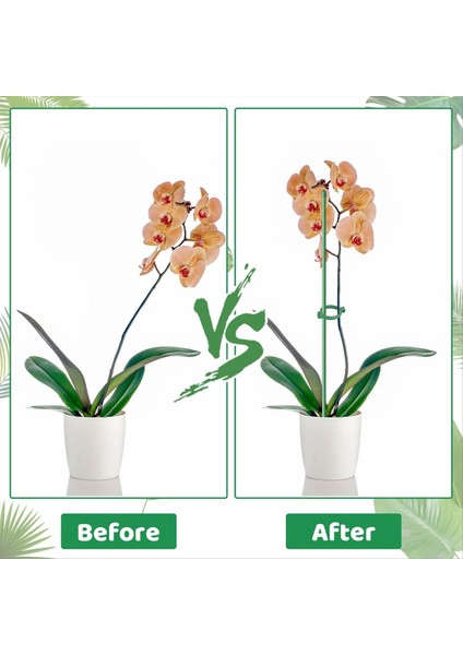 28 Adet Bitki Bahisleri Ayarlanabilir Bitki Destek Çubukları, 28 Halkalı Bitki Destek Bahisleri ve Saksı Bitkileri Için 14 Bağlantı Fakültesi (Yurt Dışından) modelleri