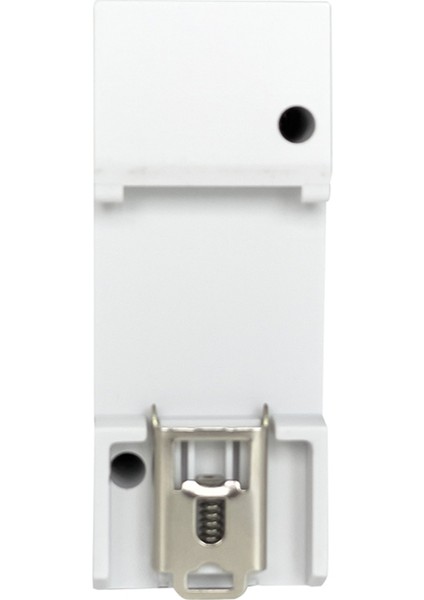 Tuya Smart Life Wifi Enerji Ölçer Çift Yönlü 2 Kanallı Din Rayı 80A Ct Uygulama Monitörü Ihracat ve Ithalat Gücü (Yurt Dışından)