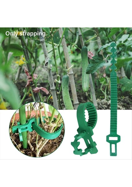 24 Adet Güdük Destek Kayışları, Bahçe Kazık Konektörleri, Bahisler Için Ağaç Kayışları, Kütükler Için Ağaç Destek Kayışları (Yurt Dışından) modelleri