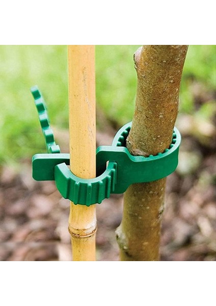 24 Adet Güdük Destek Kayışları, Bahçe Kazık Konektörleri, Bahisler Için Ağaç Kayışları, Kütükler Için Ağaç Destek Kayışları (Yurt Dışından) fırsatları
