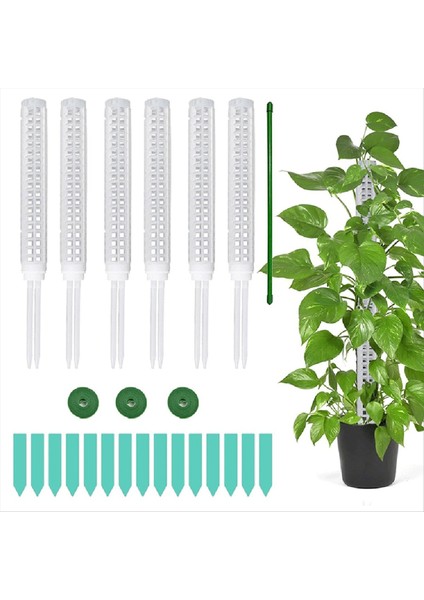 Tırmanma Bitkileri Için Yosun Hissesi Tırmanma Bitki Desteği Yosun Kazık Takviye Açısı Tasarım Tesisi Bahisleri (Yurt Dışından) fiyatları