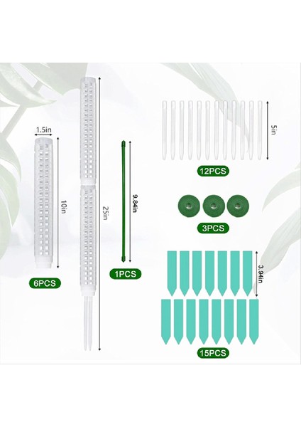 Tırmanma Bitkileri Için Yosun Hissesi Tırmanma Bitki Desteği Yosun Kazık Takviye Açısı Tasarım Tesisi Bahisleri (Yurt Dışından) modelleri