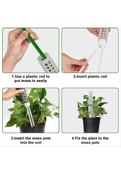 Tırmanma Bitkileri Için Yosun Hissesi Tırmanma Bitki Desteği Yosun Kazık Takviye Açısı Tasarım Tesisi Bahisleri (Yurt Dışından) fırsatları