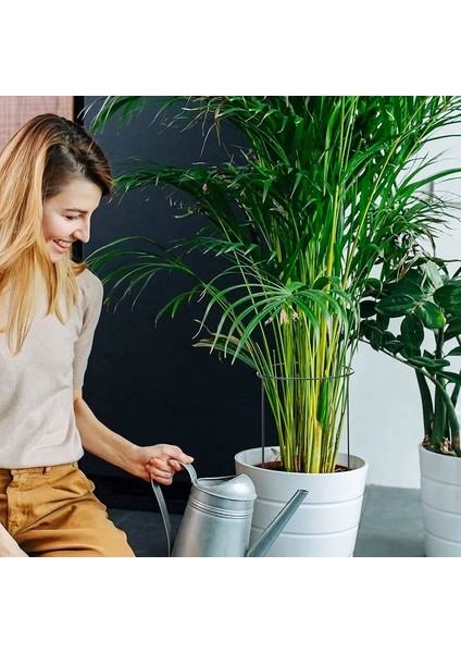 Domates Çiçekler Için 12 Yarı Düzüler Halka Bitki Bahçe Çiçek Destek Paketleri, Sınır Desteği (Yurt Dışından) fırsatları