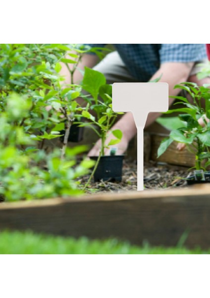 Bahçeler Dikim Araçları 50 Pcs Bonsai Plastik Fabrikası Etiketleri Bahçe Etiketleri T Tipli Kalifiye Bahçe Etiketleri Markerler Kreş Beyaz Up (Yurt Dışından) modelleri