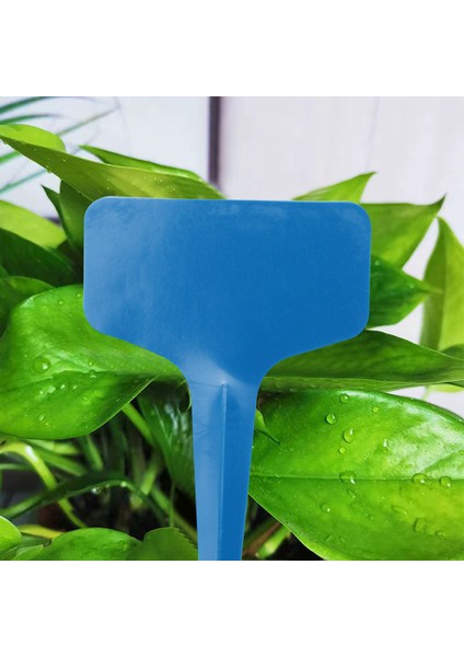 100PCS Bitki Etiketleri Çok Renkli Su Geçirmez Plastik Bitki Etiketleri T Tipi Kreş Bahçe Etiketleri 6 X10CM 5 Renk (Yurt Dışından) fırsatları