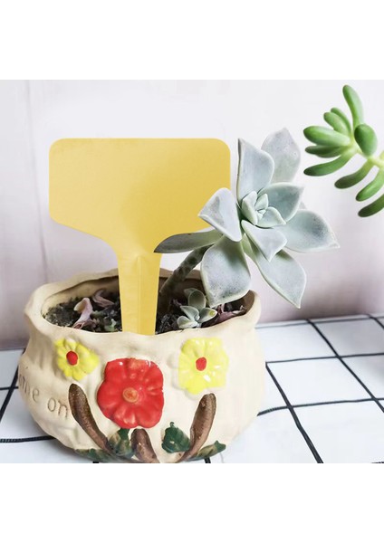 100PCS Bitki Etiketleri Çok Renkli Su Geçirmez Plastik Bitki Etiketleri T Tipi Kreş Bahçe Etiketleri 6 X10CM 5 Renk (Yurt Dışından) indirimleri