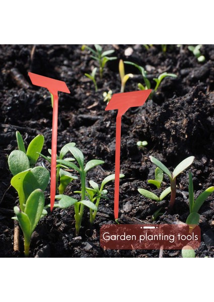 Bahçeler Dikim Araçları 50 Pcs Bonsai Plastik Fabrikası Etiketleri Bahçe Etiketleri T Tipi Kalifiye Bahçe Etiketleri Işaretçiler Kırmızı Kalkış (Yurt Dışından) modelleri