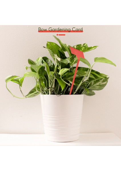 Bahçeler Dikim Araçları 50 Pcs Bonsai Plastik Fabrikası Etiketleri Bahçe Etiketleri T Tipi Kalifiye Bahçe Etiketleri Işaretçiler Kırmızı Kalkış (Yurt Dışından) fırsatları