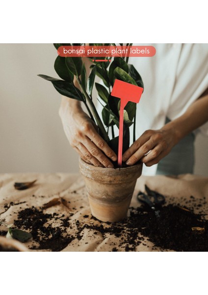 Bahçeler Dikim Araçları 50 Pcs Bonsai Plastik Fabrikası Etiketleri Bahçe Etiketleri T Tipi Kalifiye Bahçe Etiketleri Işaretçiler Kırmızı Kalkış (Yurt Dışından) indirimleri