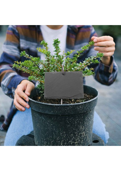 Arduvaz Bitki Etiketleri Bahçe Bitki Işaretleri Etiketler Sera Aksesuarları Bahçe Bahisleri, 15 Pcs (Yurt Dışından) fiyatları