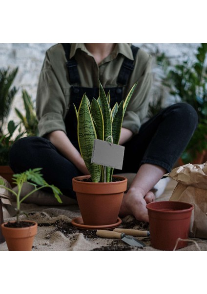 Arduvaz Bitki Etiketleri Bahçe Bitki Işaretleri Etiketler Sera Aksesuarları Bahçe Bahisleri, 15 Pcs (Yurt Dışından) modelleri