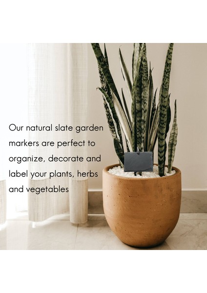 Arduvaz Bitki Etiketleri Bahçe Bitki Işaretleri Etiketler Sera Aksesuarları Bahçe Bahisleri, 15 Pcs (Yurt Dışından) indirimleri