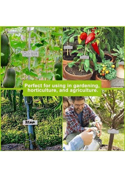 Metal Bitki Etiketleri, Metal Bitki Etiketleri, Ağaç Etiketleri, Açık Bahçe Su Geçirmez Metal Etiketler Için Metal Bitki Etiketleri (Yurt Dışından) fiyatları