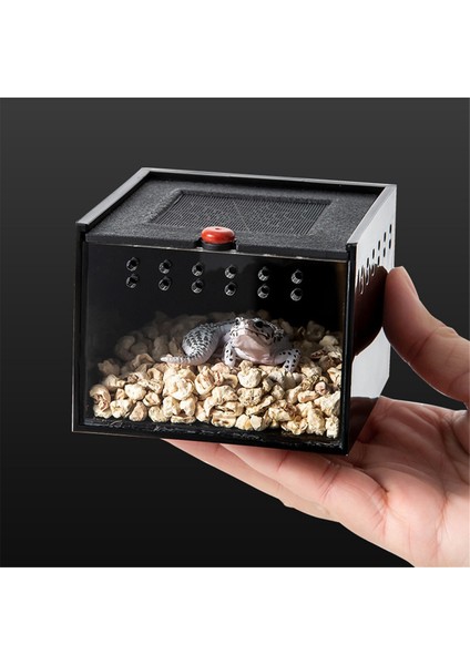 Örümcek Muhafaza Küçük Böcek Yetiştirme Kutusu Kaçış Sürüngen Terraryum Böcek Besleme Kafesi B (Yurt Dışından) fırsatları