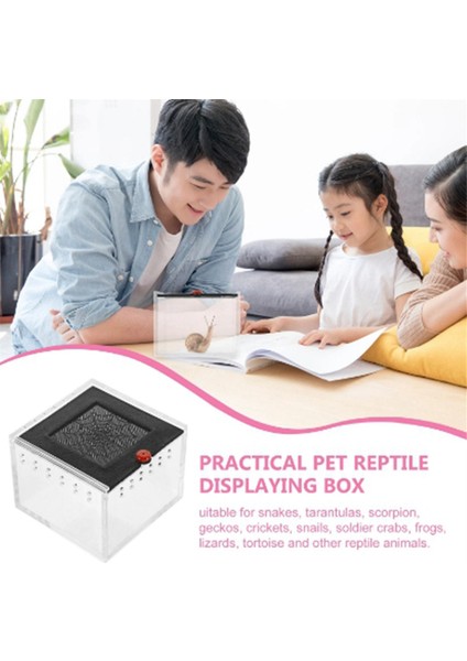 Örümcek Muhafaza Küçük Böcek Yetiştirme Kutusu Kaçış Sürüngen Terraryum Böcek Besleme Kafesi B (Yurt Dışından) indirimleri