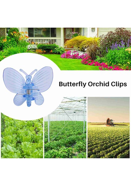 Orkide Klipsleri 30PCS Kelebek Bitki Klipsleri Orkide Destek Klipsleri Asma Klipsleri Destek Için Bitki Klipsleri Çiçek Orkide Asma (Yurt Dışından) indirimleri