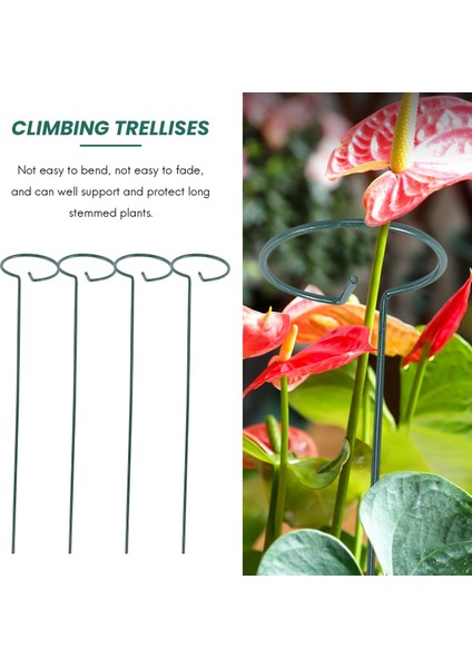 8pcs Güzel Bitki Desteği Stand Çiçekleri Destek Halkası Metal Bitki Destek Biçin Bonsai Destek Arka Bahçe Aracı (Yurt Dışından) modelleri