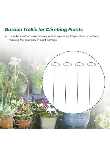 8pcs Güzel Bitki Desteği Stand Çiçekleri Destek Halkası Metal Bitki Destek Biçin Bonsai Destek Arka Bahçe Aracı (Yurt Dışından) indirimleri