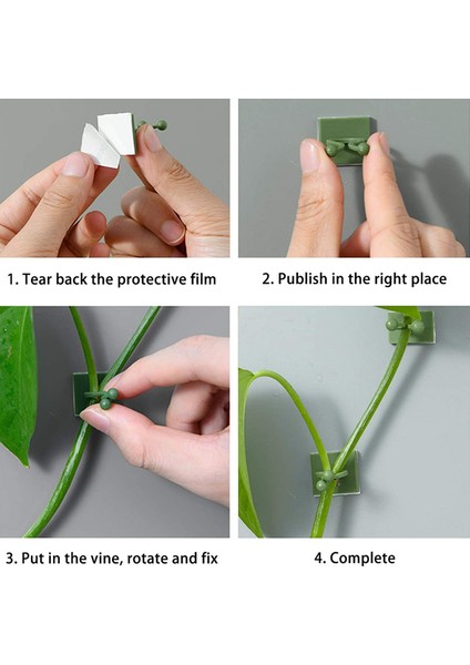 120PCS Yeşil Görünmez Duvar Asma Sabitleme Klipsi, Bitki Tırmanma Sabitleme Cihazı Kendi Kendine Yapışkanlı Sabitleme Kanca Asma Sabitleme Cihazı (Yurt Dışından) indirimleri