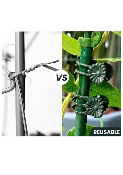 300PCS Orkide Klipsleri Bitki Destek Klipleri, Güvenli Plastik Bitki Klipsli Bahçe Domates Bitki Destek Sapları Asma Sabitleme Klipsleri (Yurt Dışından) modelleri