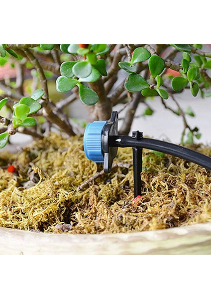 1/4 Inçlik Tüp Hortumu Çiçek Yatakları, Sebze Bahçeleri, Otlar Bahçeleri Için 200PCS Sulama Damlama Destek Dağı (Yurt Dışından) indirimleri