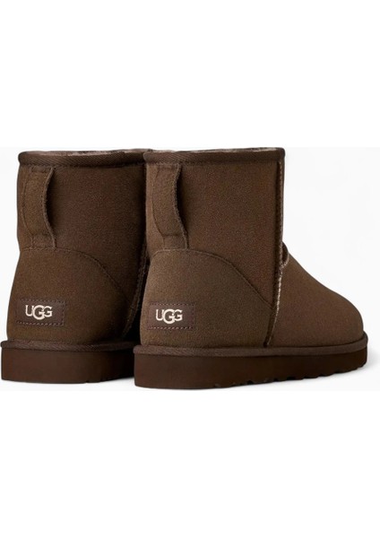 Classıc Mını Iı W Kadın Bot 1016222 Ugg W Classıc Mını Iı Dusted Cocoa fırsatları