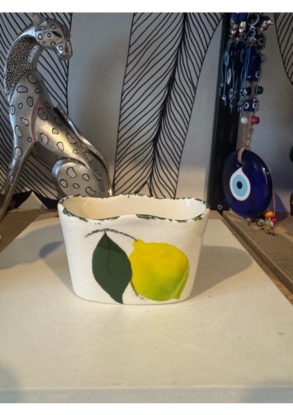 Seramik Limon Desen Süngerlik